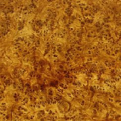 Antique Pollard Oak