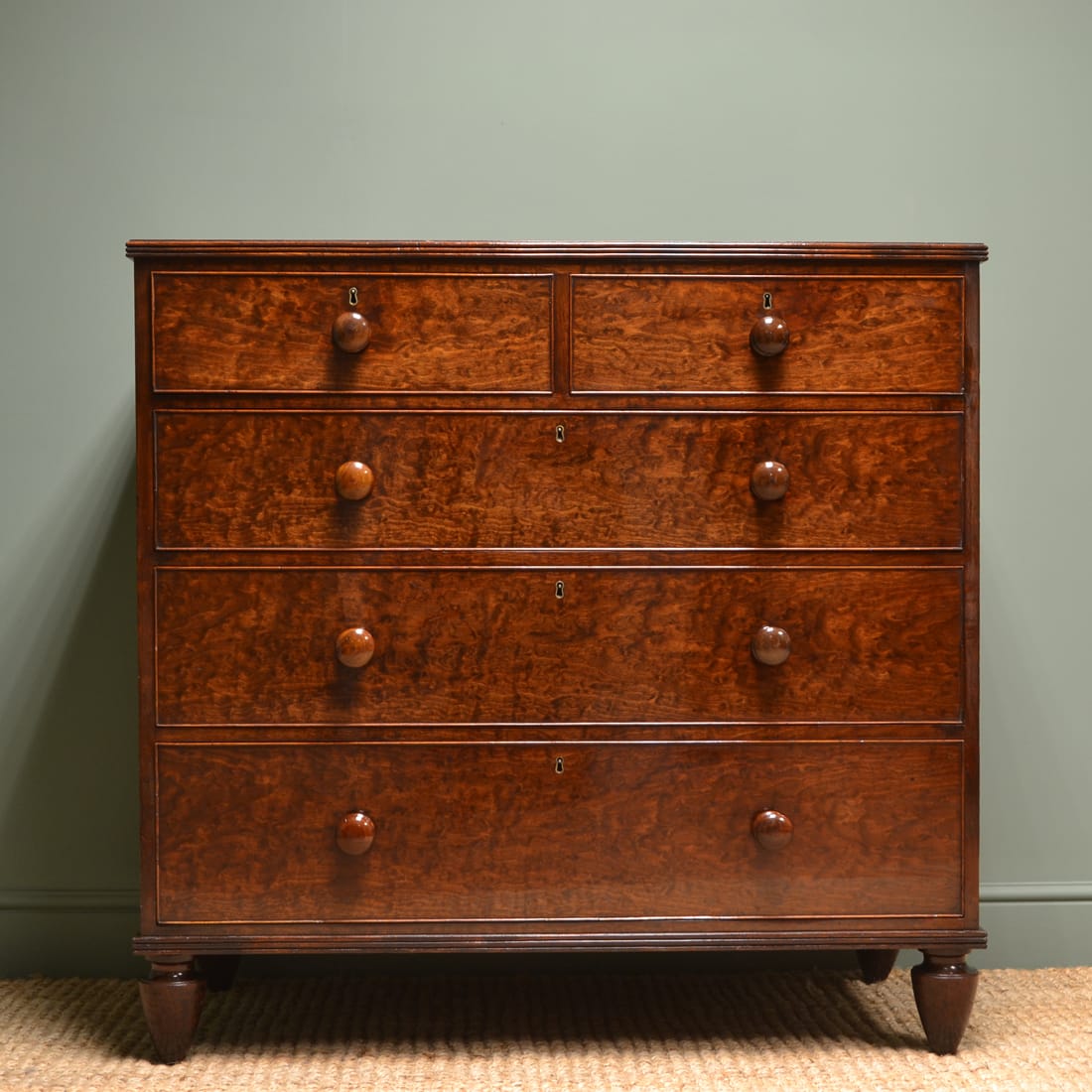 Spectacular Plum Pudding Mahogany Regency Antique Chest of Drawers