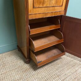 Regency Mahogany Antique Estate Cupboard with Fitted Interior