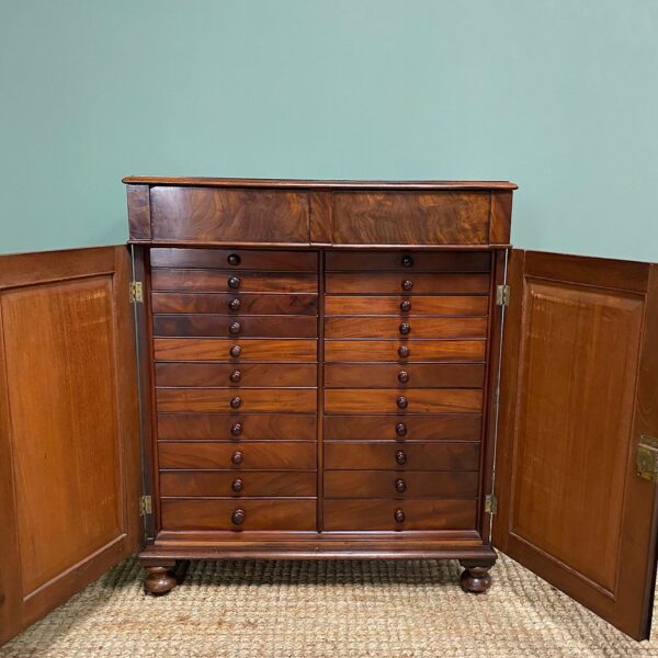 Spectacular Regency Mahogany Antique Collectors Cabinet