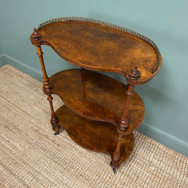 Superb Quality Antique Victorian Walnut What Not