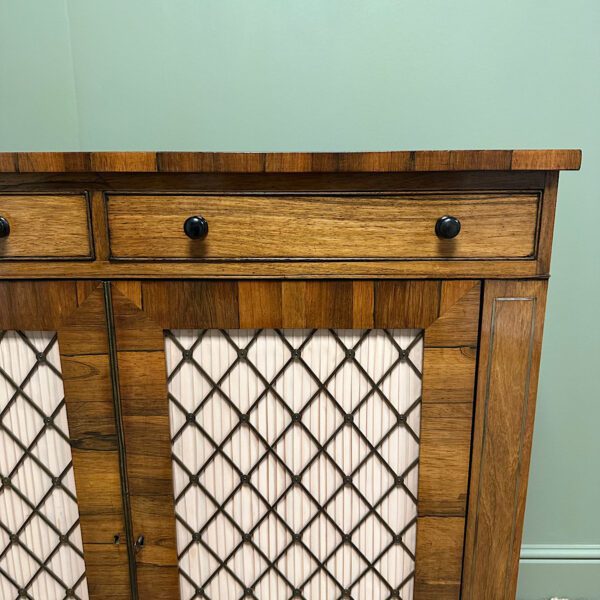 Spectacular Regency Rosewood Antique Cabinet