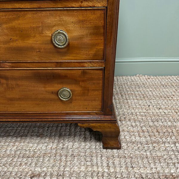 Spectacular Antique Georgian Mahogany Chest of Drawers