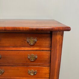 Spectacular Walnut Victorian Antique Wellington Chest