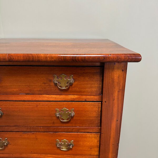 Spectacular Walnut Victorian Antique Wellington Chest