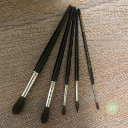 Squirrel Pencil Brush