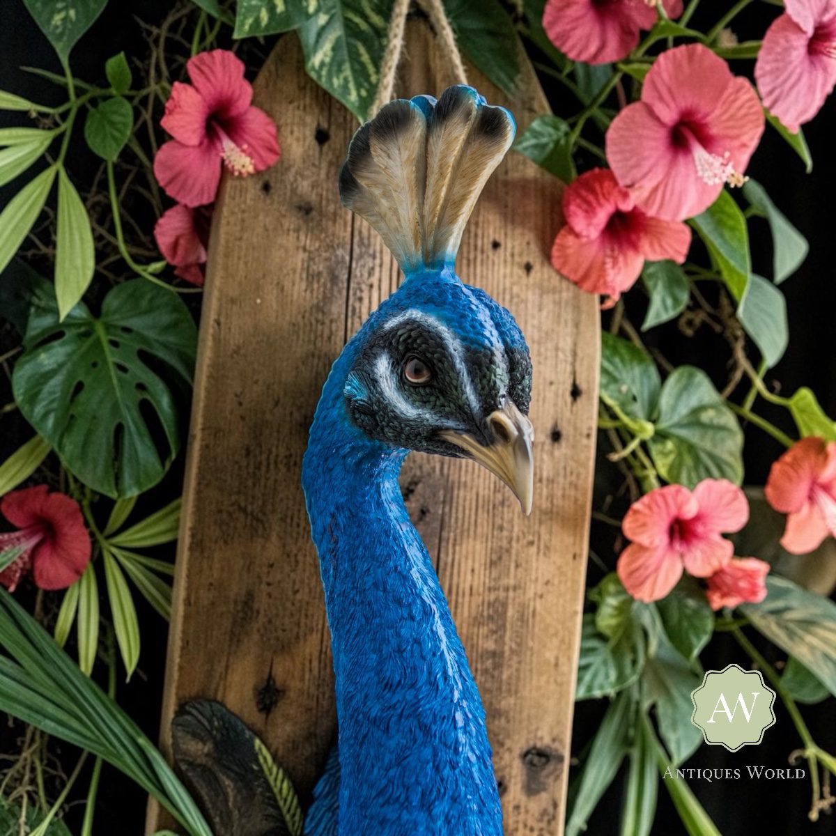 Peacock Head Wall Figure 5 Peacock Head Wall Figure