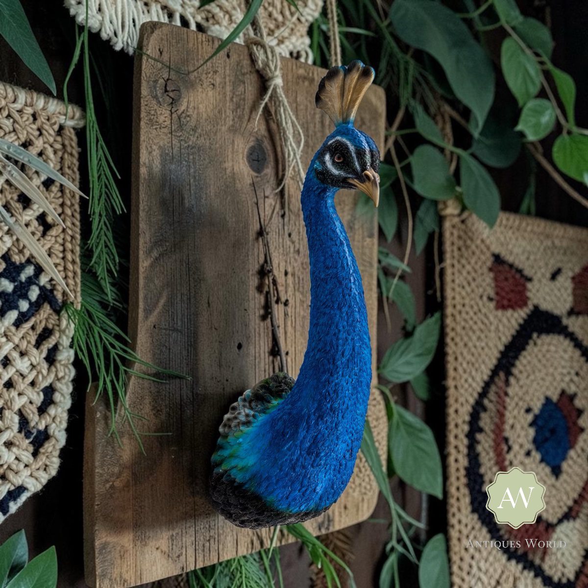 Peacock Head Wall Figure 4 Peacock Head Wall Figure