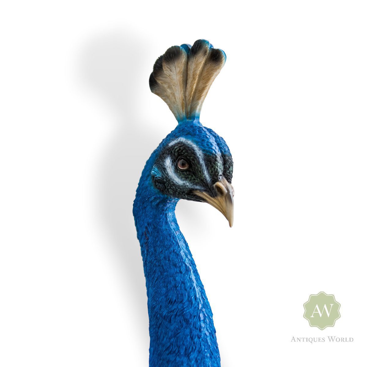 Peacock Head Wall Figure 2 Peacock Head Wall Figure