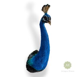 Peacock Head Wall Figure