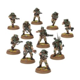 Cadian Shock Troops 1