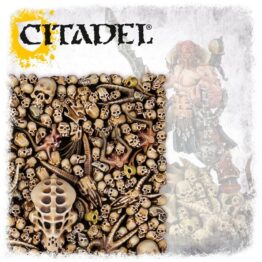 Citadel Skulls 1