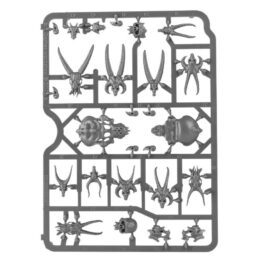 Citadel Skulls 7