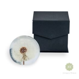 Large Acrylic Dandelion Paperweight with Gift Box
