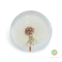 Large Acrylic Dandelion Paperweight with Gift Box