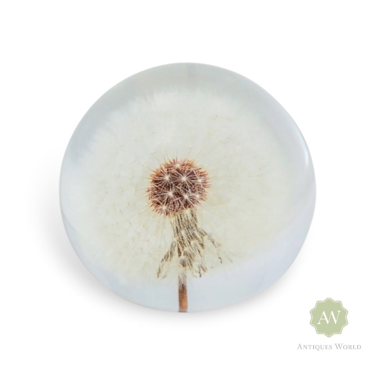 Large Dandelion Paperweight with Gift Box 2 Large Acrylic Dandelion Paperweight with Gift Box