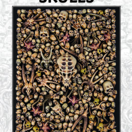 Warhammer Citadel Skulls