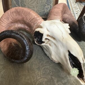 Natural Ram Skull Wall Head Lifestyle